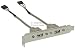 Computer Hardware : COSCD Adapter USB 2fach int/ext auf Slotblech
