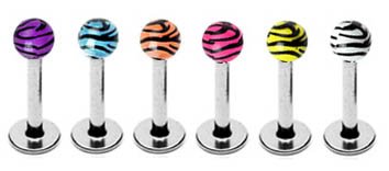 6 Zebra Animal Tiger Print Unique balls Labret Monroe lip tragus piercing bar Ring 16g, 5/16" (8mm)