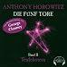 Die fünf Tore 2. Teufelsstern. 8 CDs (Audio CD)