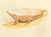 Crocodile Stamps (Central Africa), 4 Official Proof Edition Prints