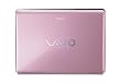 Sony VAIO VGN-CR407E/P 14.1" Laptop