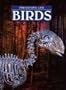 Birds (Prehistoric Life)