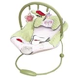 Kids Line Lady Bug Bouncer