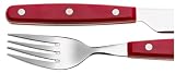 Oneida Red Color Trends 20-Piece Flatware Set, Service for 4
