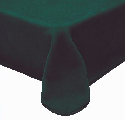 Solaron Queen Solid Green Korean Mink Blanket