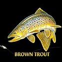 Brown Trout Combination Adult T-Shirt