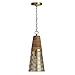 Capital 333911DG-693 Pendant, 1-Light 100 Watts, Desert Gold