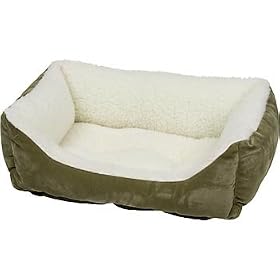 PETCO Lounger Cat Bed in Sage