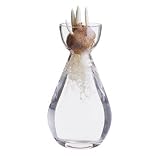 : Dartington Bulb Vases Hyacinth Vase