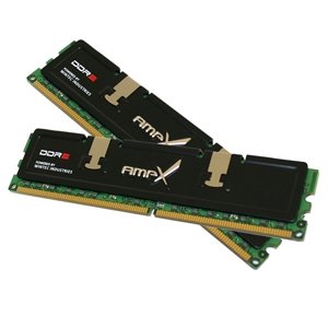 Wintec AMP-X Dual Channel Kit - Memory - 4 GB : 2 x 2 GB - DIMM 240-pin - DDR2 - 800 MHz / PC2-6400 - CL5 - 1.9 V - non-ECC