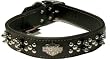 Coastal Pet Harley-Davidson Double Spiked Leather Dog Collar (Black, 26 Inch L x 1 1/2 Inch W)