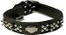 Coastal Pet Harley-Davidson Double Spiked Leather Dog Collar (Black, 24 Inch L x 1 1/2 Inch W)