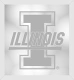 Illinois Fighting Illini Beveled Wall Mirror
