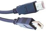 10' Firewire 6 pin to 6,