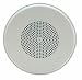 1Watt 1Way 8" Ceiling Speaker