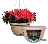 12 EASYCARE HANGING PLANTER OLIVEWOOD