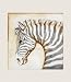 Software : Zebra