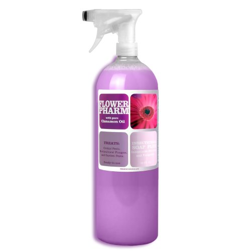 Flower Pharm Organic Insecticidal Soap plus Miticide and Fungicide, 33.8 Fluid Ounce Spray Bottle