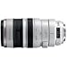 Canon EF Téléobjectif Zoom 100 / 400 mm f/4.5-5.6 L IS USM