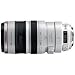 Canon EF 100-400mm f4.5-5.6L IS USM Telephoto Zoom Lens for Canon SLR Cameras