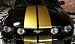 Mustang Hertz GT-H Gold Metallic 9 Racing Stripes