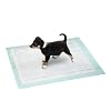 Karlie 08327 Puppy Pads - Vlies Pads, 24 - er Sparpack 48 x 40 cm