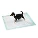 Karlie 08327 Puppy Pads - Vlies Pads, 24 - er Sparpack 48 x 40 cm
