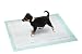 PUPPY PADS Big Box - 48 X 40 CM