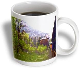 Jos Fauxtographee Realistic - The Silverton Train Going Along the Tracks and a Water Shed Building with Pretty Trees - 15oz Mug (mug_57343_2)