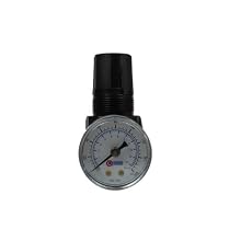 Coilhose Pneumatics MR2-GL Miniature Series Regulator with Gauge and Low Pressure Spring, 1/4-Inch Pipe Size