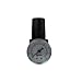Coilhose Pneumatics MR2-GL Miniature Series Regulator with Gauge and Low Pressure Spring, 1/4-Inch Pipe Size