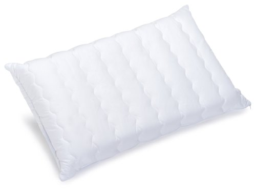Billerbeck 5452310001 S23 Top Sale Care Nackenst&uuml;tzkissen mit Aloe-Vera-Veredelung Funktionskern aus strapazierf&auml;higem Kaltschaum 40 x 80 cm, 1-te ...