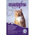 Advantage Purple Cat Medium/Large 4pk 9-18pds