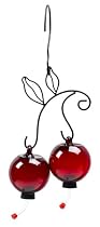Red Cherries Hummingbird Feeder
