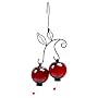 Red Cherries Hummingbird Feeder