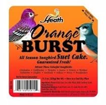 Heath Suet Wild Berry