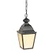 Royce Lighting RLC1236ES-23 Outdoor Convertible Lantern Oil Rubbed Bronze with Cream Snow Globe