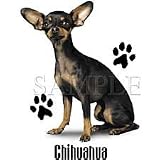 Chihuahua Adult Sweatshirt