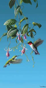 HUMMINGBIRDS Bird by HAUTMAN Bath or BEACH TOWEL