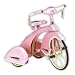 Sky Princess Tricycle