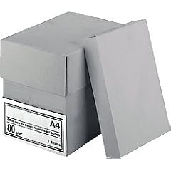 Kopierpapier Recycling/NO-NAME RC DIN A4 pressewei� geriest 80 g/qm Inh.500