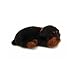 Perfect Petzzz Breathing Dog Pet Rottweiler with Red Tote Carrier and Bed