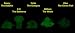 Glow In The Dark SEA MANIA 1 Set of 5 Rare Mystery Squishies