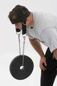 Head Harness