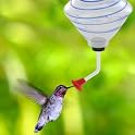 Hummingbird Feeder