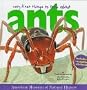 Very First Things to Know About Ants (American Museum of Natural History)