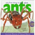 Very First Things to Know About Ants