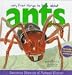 Book Very First Things to Know About Ants (Very First Things to Know about)