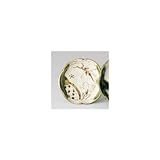 〔瀬戸焼 和皿・洋皿〕 赤津焼織部 ５．０皿 5個組