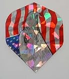 3 sets AMERICAN EAGLE Holographic Standard flights